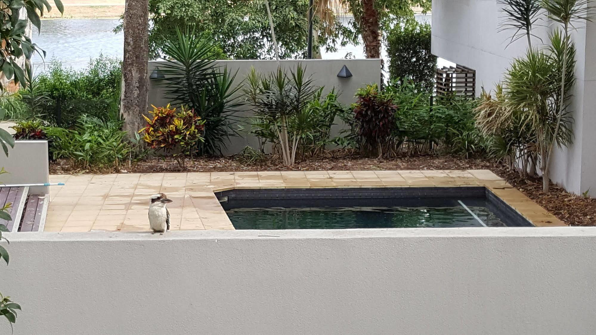 Jacana Apartments Townsville Luaran gambar
